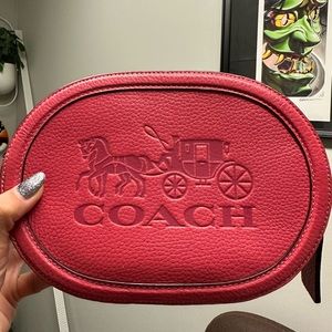 Coach camera bag